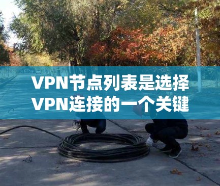 VPN节点列表是选择VPN连接的一个关键参考点。以下是一些常见的VPN节点列表和推荐,根据不同的需求和使用场景来选择 VPN节点列表是选择VPN连接的一个关键参考点。以下是一些常见的VPN节点列表和推荐,根据不同的需求和使用场景来选择