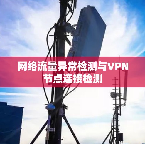 网络流量异常检测与VPN节点连接检测