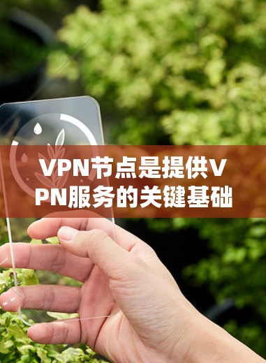 VPN节点是提供VPN服务的关键基础设施,主要包括以下几个部分 VPN节点是提供VPN服务的关键基础设施,主要包括以下几个部分