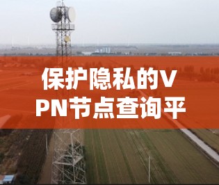 保护隐私的VPN节点查询平台