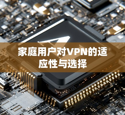 家庭用户对VPN的适应性与选择 家庭用户对VPN的适应性与选择