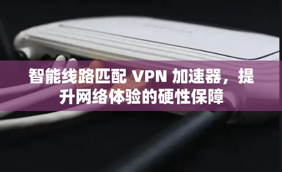智能线路匹配 VPN 加速器，提升网络体验的硬性保障