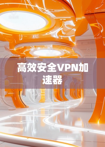 高效安全VPN加速器 高效安全VPN加速器