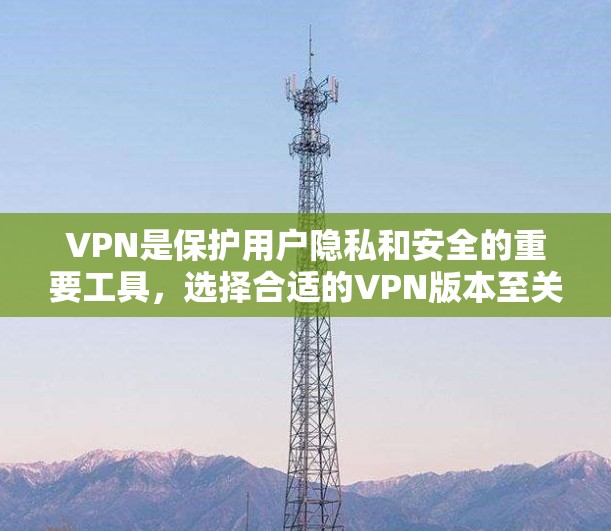 VPN是保护用户隐私和安全的重要工具,选择合适的VPN版本至关重要。以下是根据不同版本特点,对VPN进行详细的比较,帮助用户更好地选择适合自己的VPN VPN是保护用户隐私和安全的重要工具,选择合适的VPN版本至关重要。以下是根据不同版本特点,对VPN进行详细的比较,帮助用户更好地选择适合自己的VPN