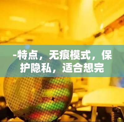 -特点,无痕模式,保护隐私,适合想完全匿名访问的用户 -特点,无痕模式,保护隐私,适合想完全匿名访问的用户