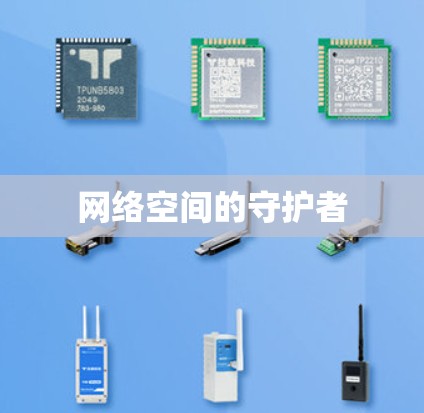 网络空间的守护者