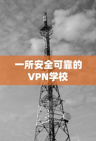 一所安全可靠的VPN学校
