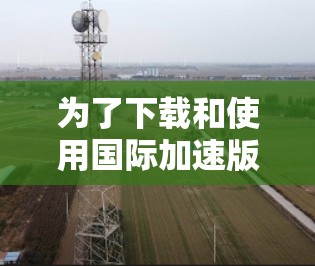 为了下载和使用国际加速版VPN服务，您可以按照以下步骤进行