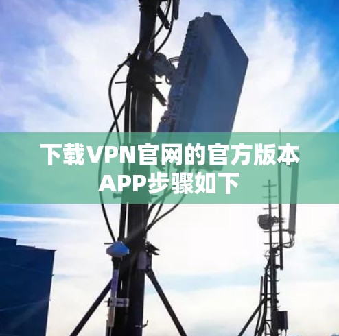 下载VPN官网的官方版本APP步骤如下