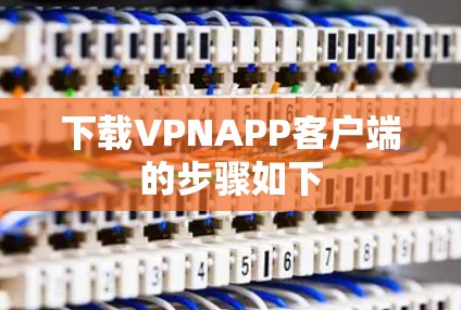 下载VPNAPP客户端的步骤如下 下载VPNAPP客户端的步骤如下