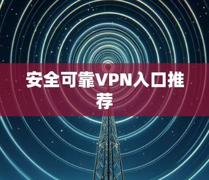 安全可靠VPN入口推荐