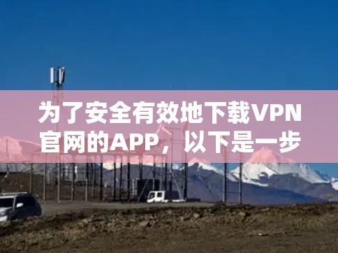 为了安全有效地下载VPN官网的APP，以下是一步步的建议