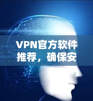 VPN官方软件推荐，确保安全的网络连接