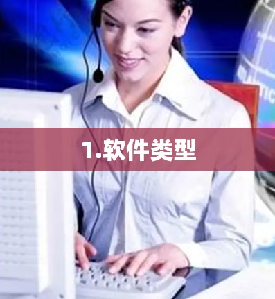 1.软件类型