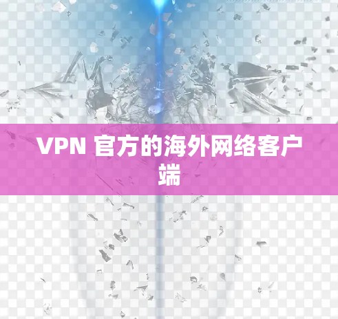 VPN 官方的海外网络客户端