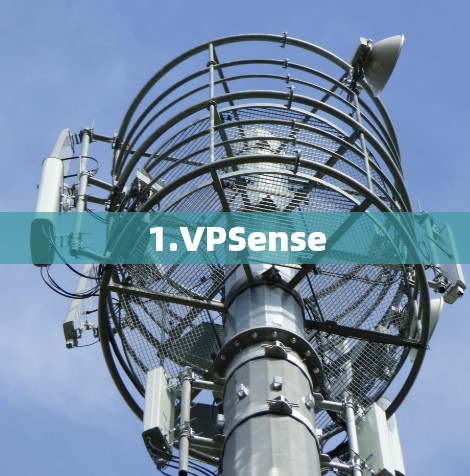 1.VPSense