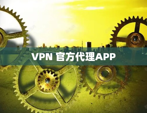 VPN 官方代理APP