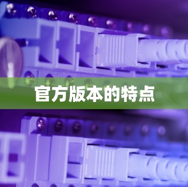 官方版本的特点