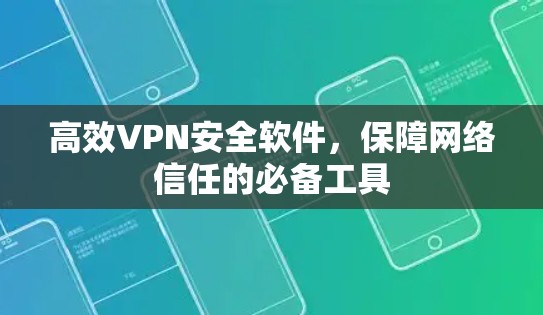 高效VPN安全软件,保障网络信任的必备工具
