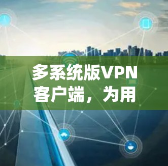 多系统版VPN客户端,为用户提供便捷的网络安全体验